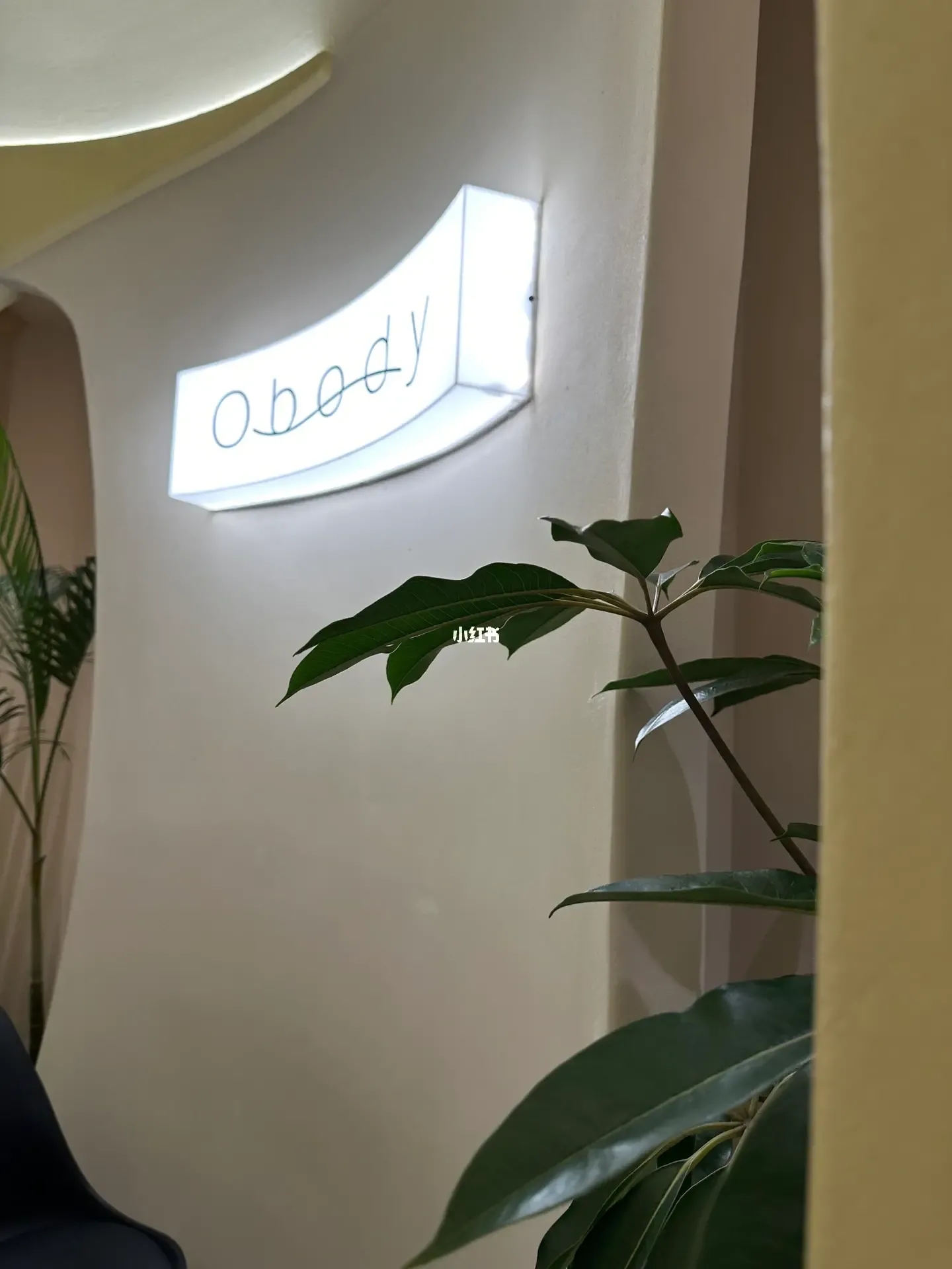 贵妇都爱的ObodySpa